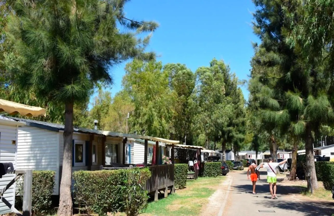 Mobil-Home Neuf 6 A 8 Pers Au Camping Les Palmiers, Hyères Franciaország