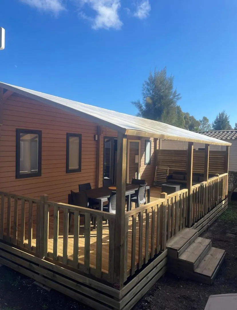 Mobil-Home Neuf 6 A 8 Pers Au Camping Les Palmiers, Hyeres location